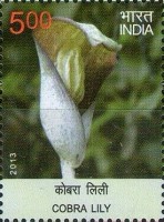 Flora - Wild Flowers of India — 5.00R