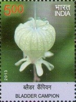Flora - Wild Flowers of India — 5.00R