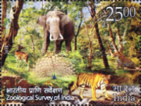 Zoological Survey of India — 25.00R
