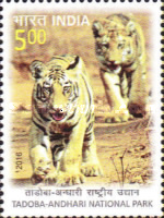 Tadoba-Andhari National Park - Tigers — 5.00R