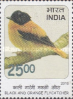 Ficedula nigrorufa — 25.00R
