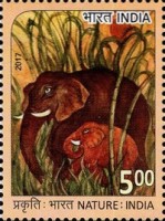 Nature - Drawing Competition — 5.00R