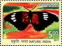 Nature - Drawing Competition — 5.00R