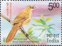 Vulnerable Birds — 5.00R