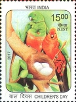 Children's Day - Nest — 15.00R