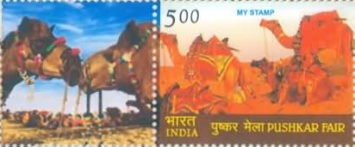Pushkar Fair - Personalized Vignette — 5.00R