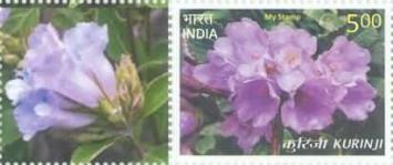 Kurunji, Kerala - Personalized Vignette — 5.00R