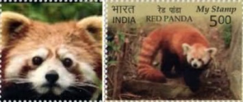 Red Panda - Personalized Vignette — 5.00R