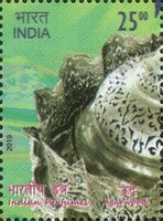 Indian Perfume - Agarwood — 25R
