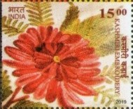 Embroideries of India — 15.00R