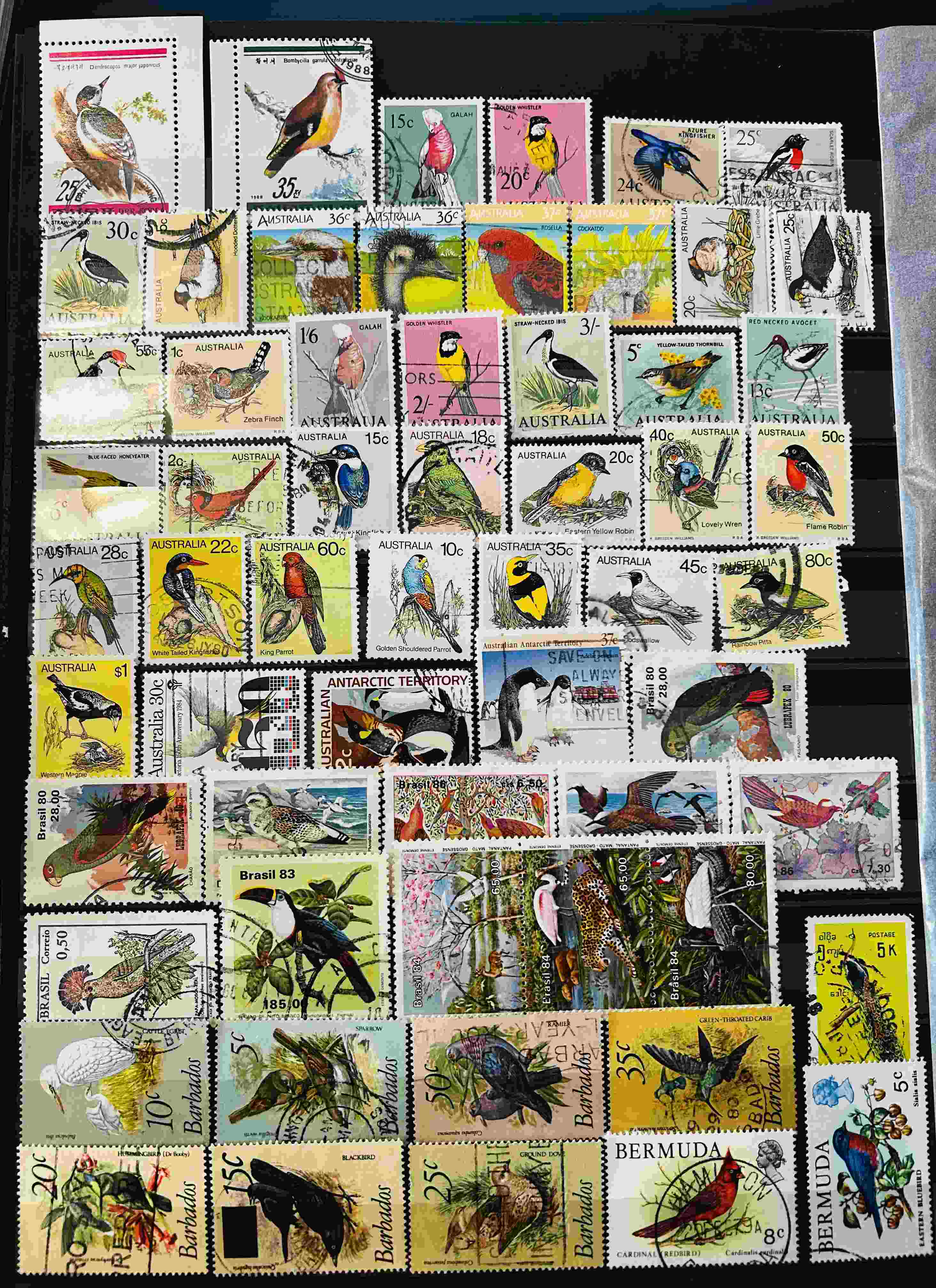 Mixed stamps from from the world on theme - Birds.(lot4)