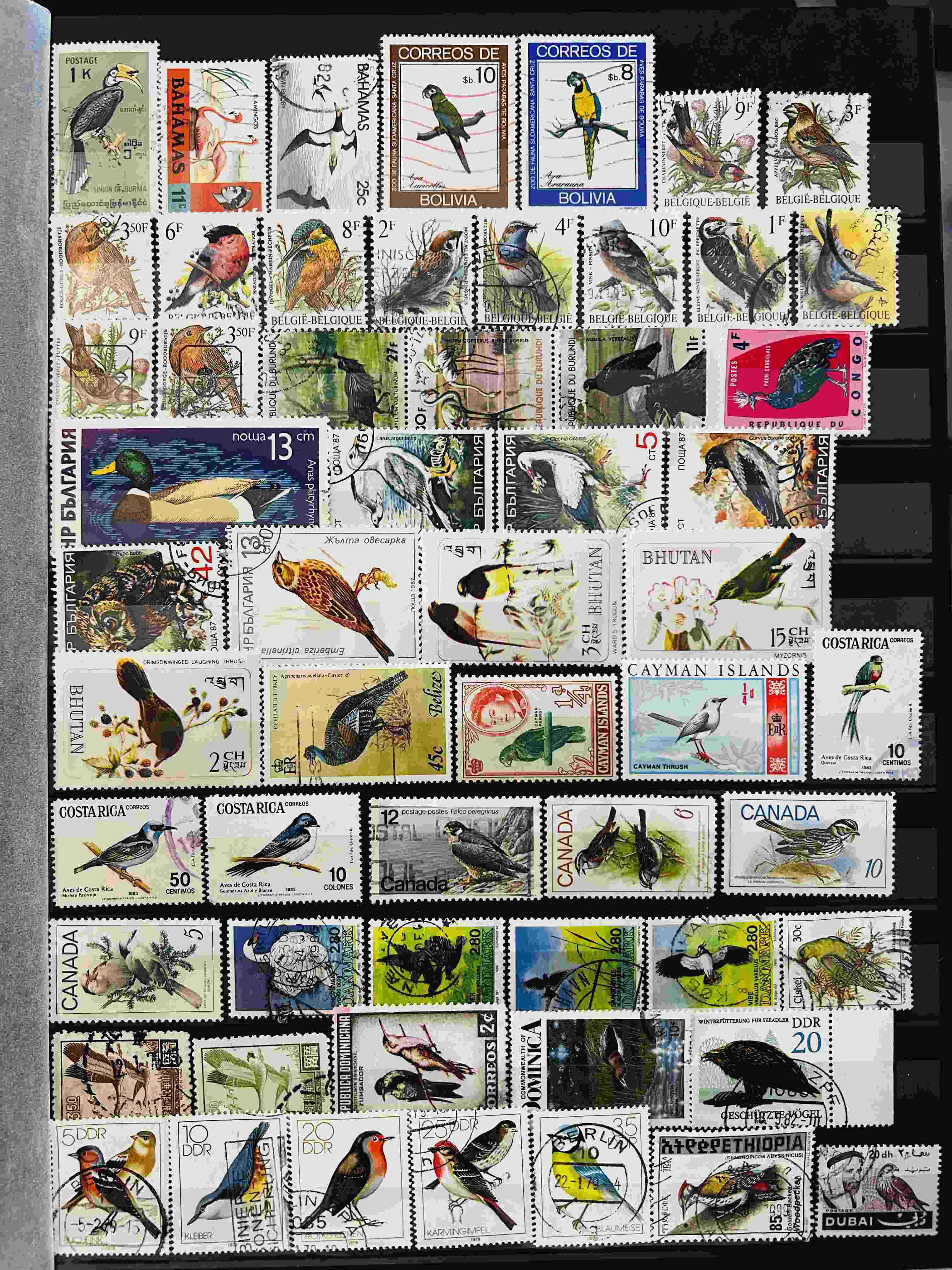 Mixed stamps from from the world on theme - Birds.(lot3)