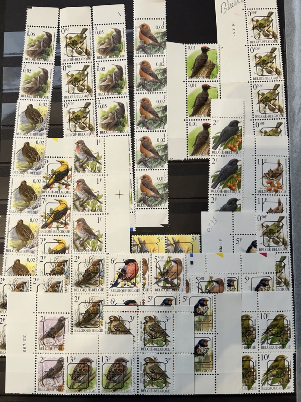 Buzin birds collection from Belgium.