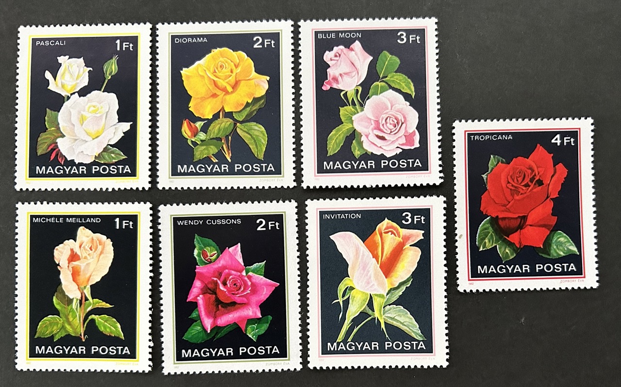 Roses set from Hungary