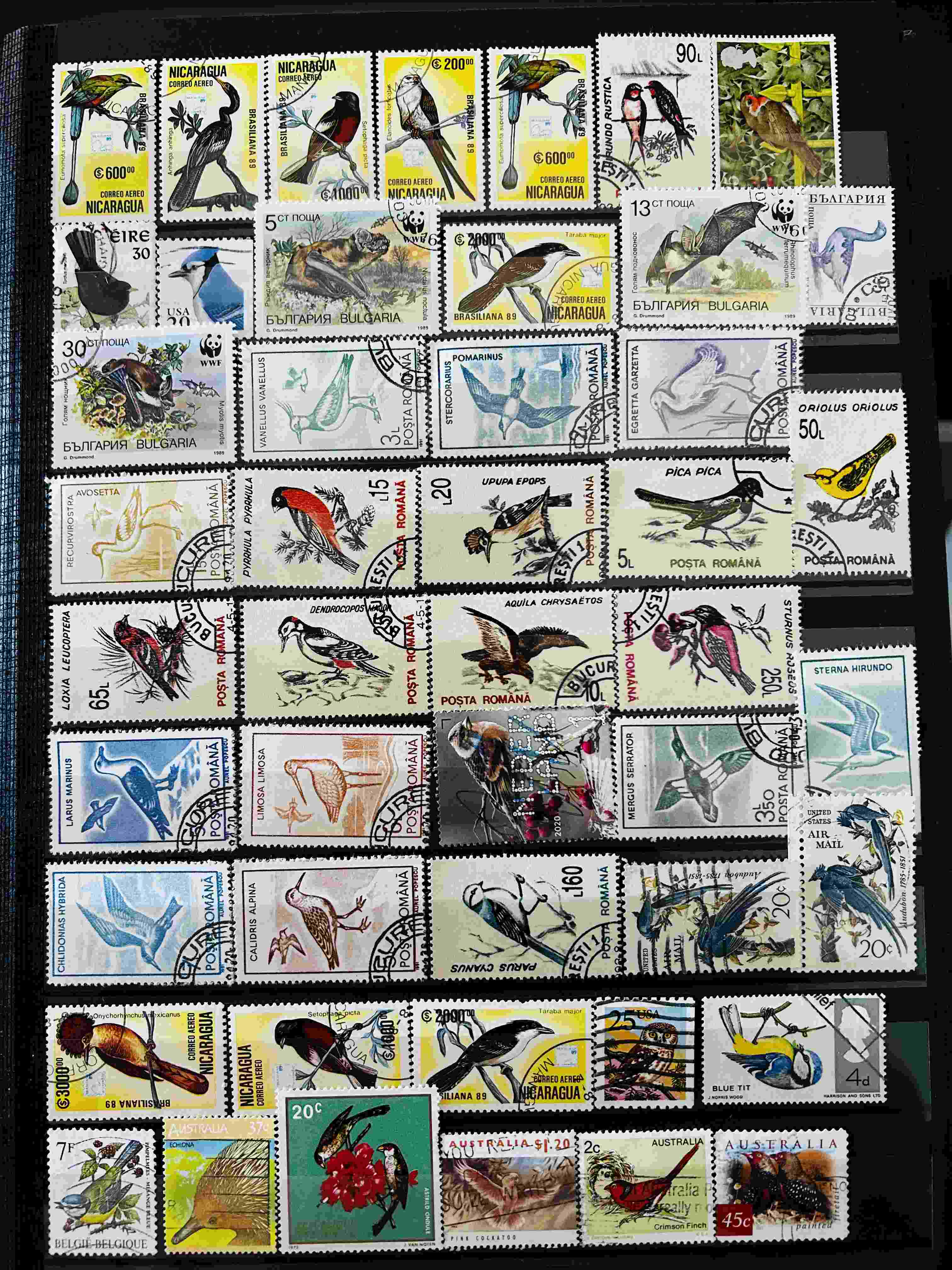 Birds stamps of various countries