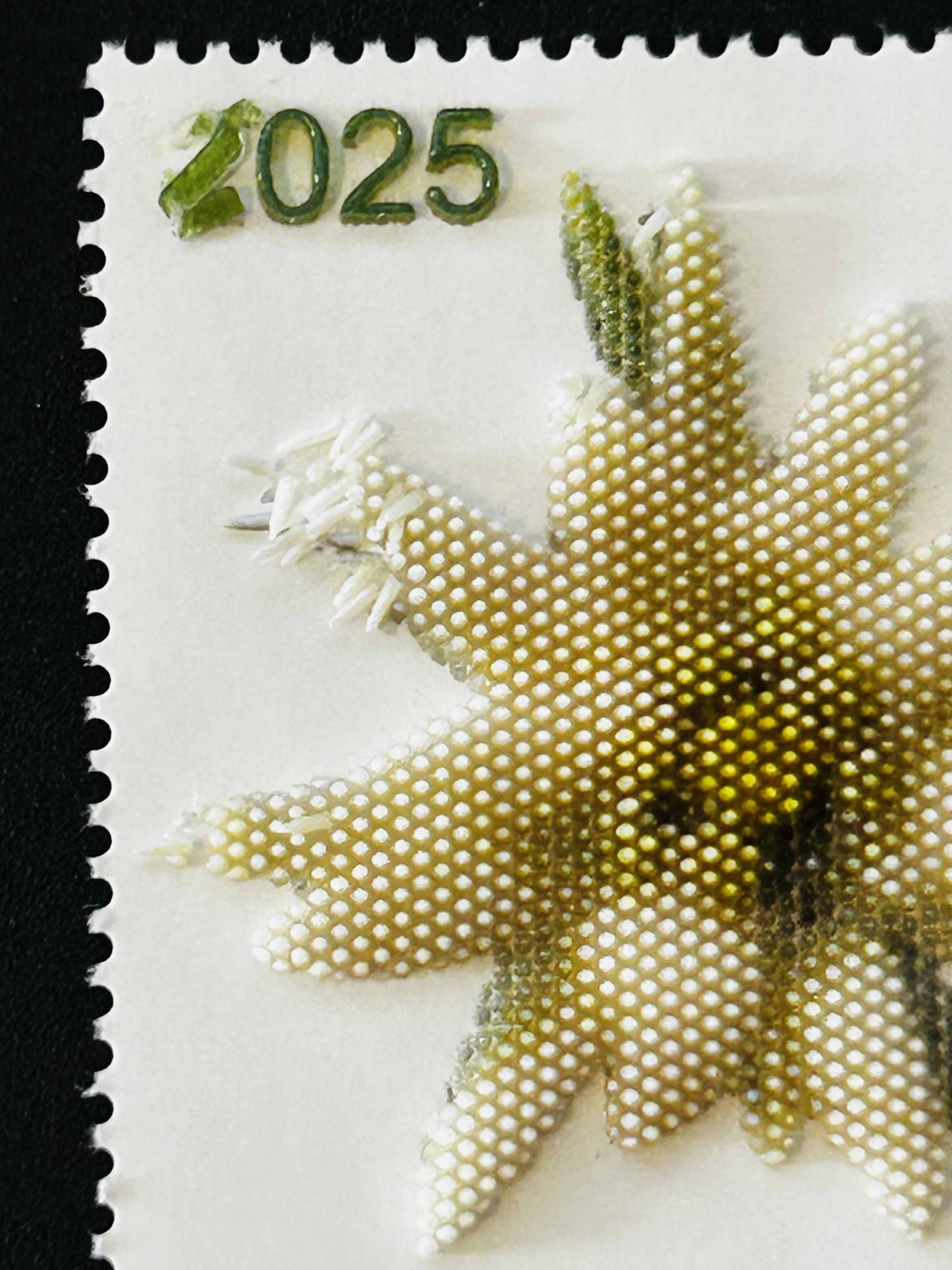 Austria Post 3D printed Edelweiss stamp — printing error close-up