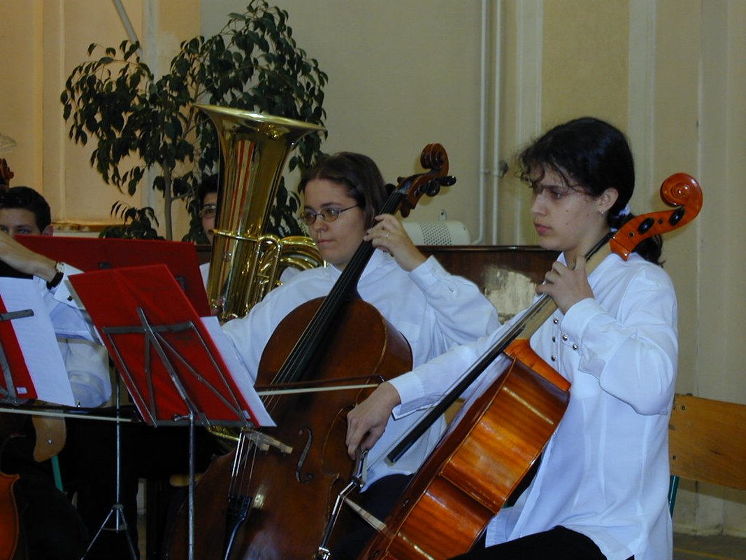 Kép 75