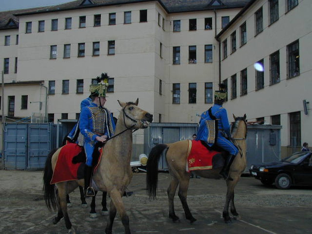 Kép 120
