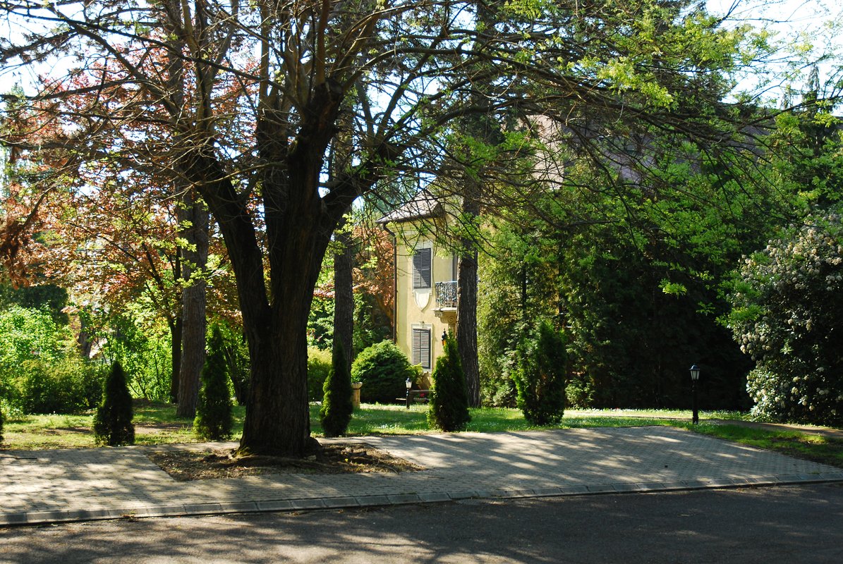 Kép 9