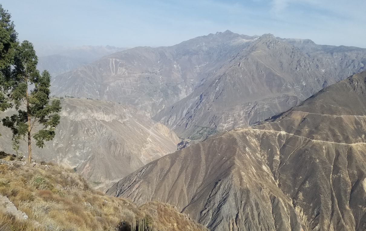 Cañon Colca a la Mañana