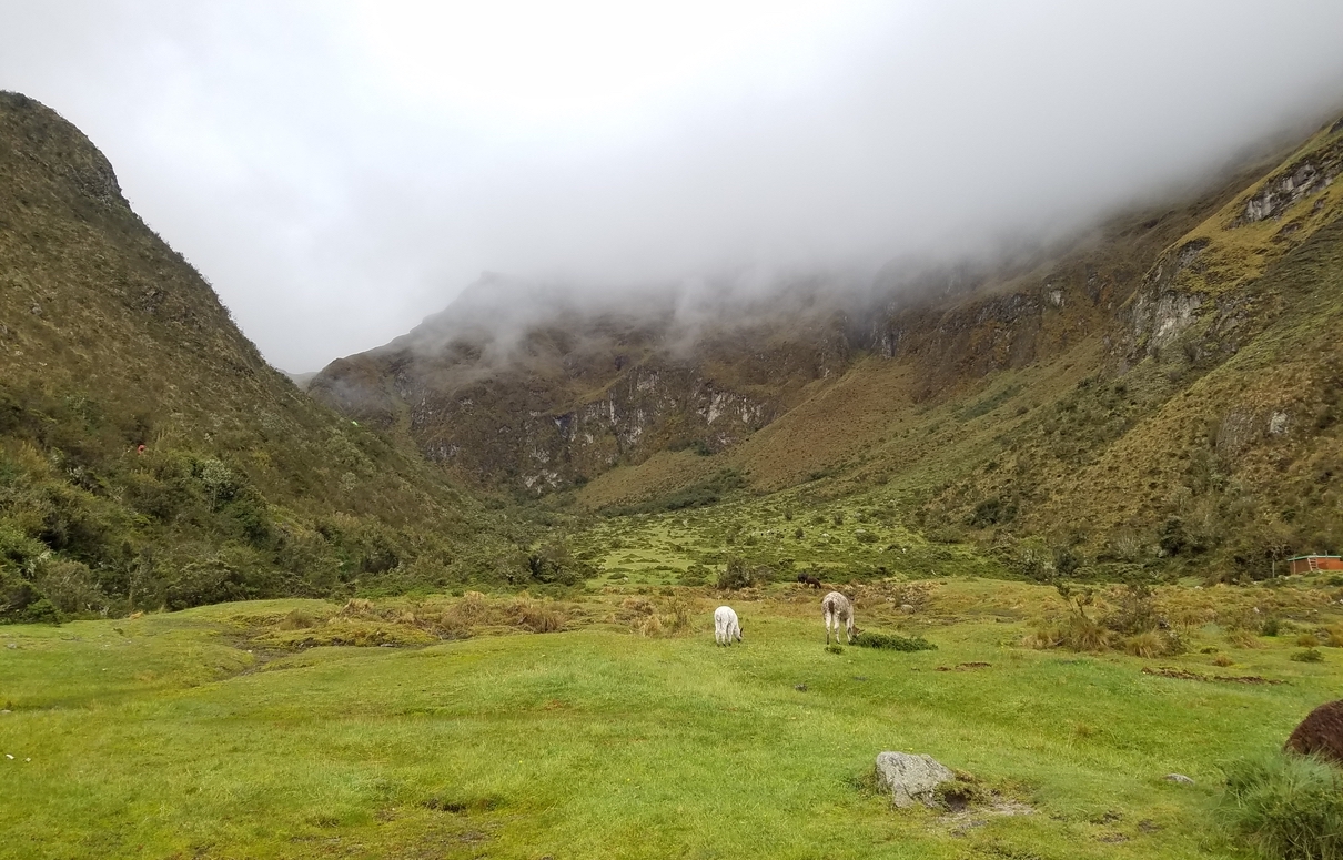El Campo
