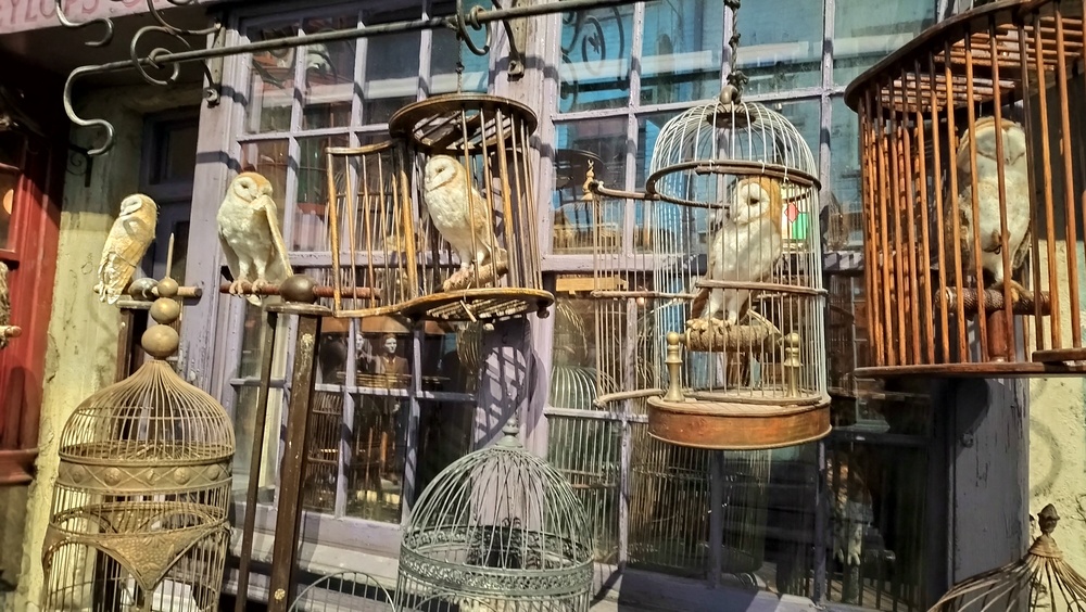 点击查看原图 IMG20231103145852.jpg