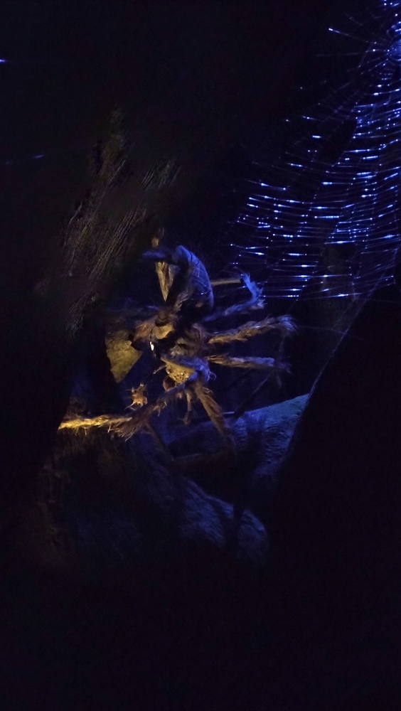 点击查看原图 IMG20231103123257.jpg