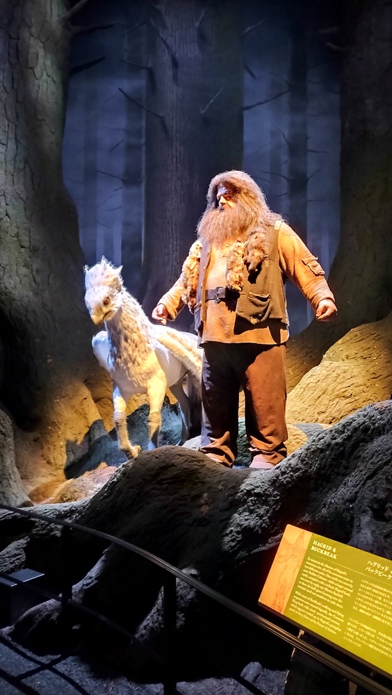 点击查看原图 IMG20231103122731.jpg