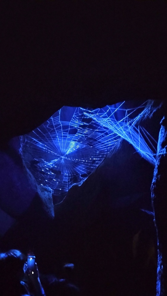 点击查看原图 IMG20231103123220.jpg