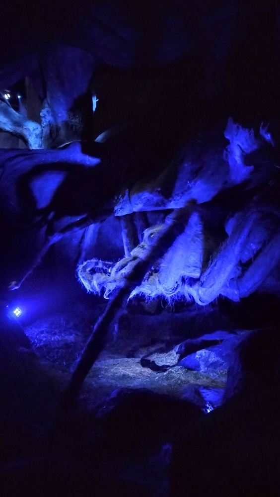 点击查看原图 IMG20231103123311.jpg