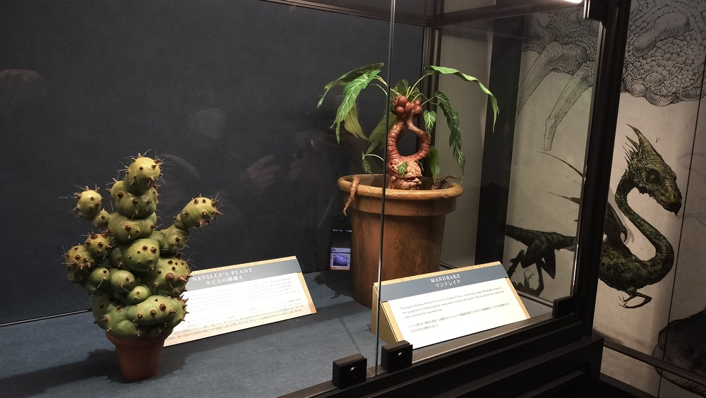 点击查看原图 IMG20231103144403.jpg