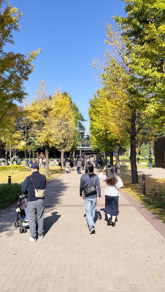 点击查看原图 IMG20231103101722.jpg