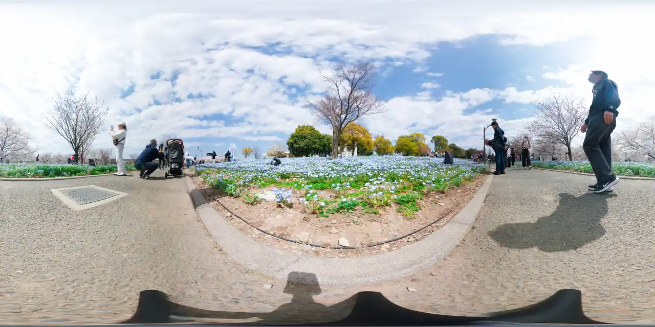 IMG_20250405_111718_00_024-1