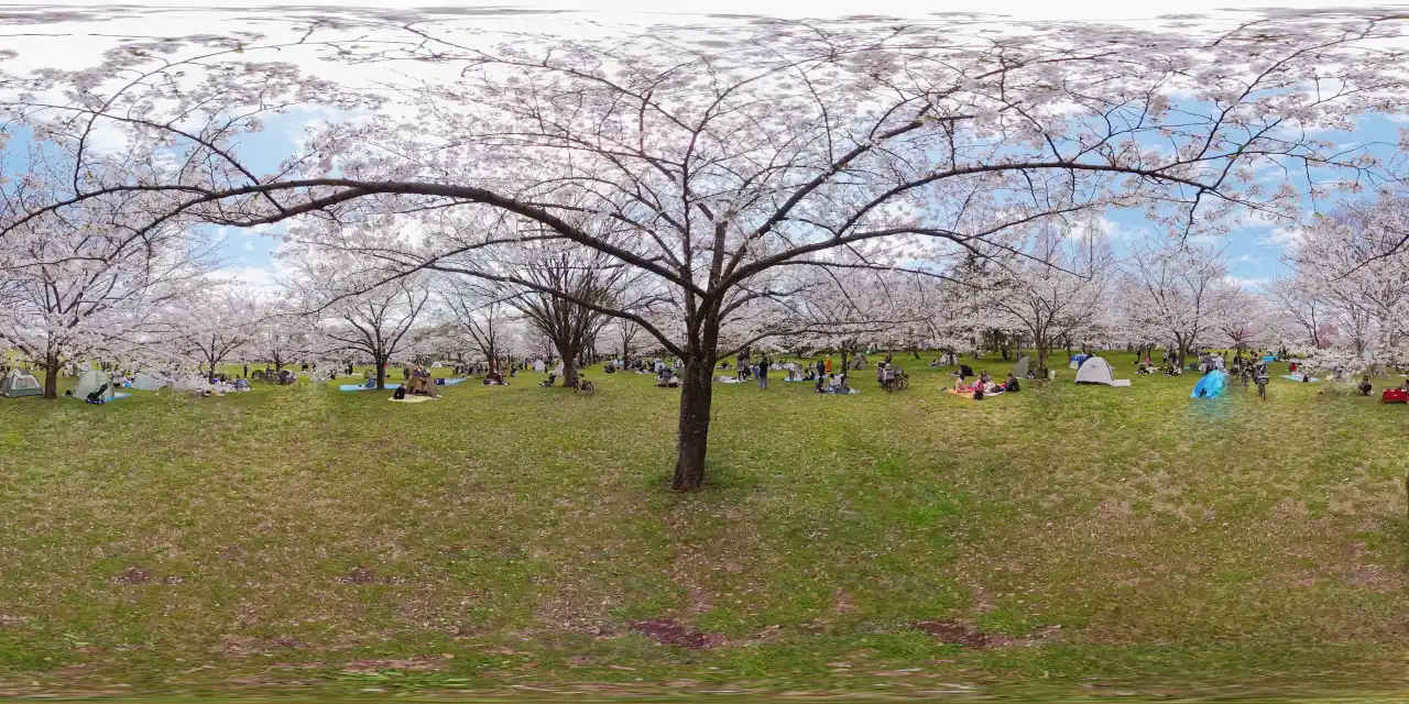 VID_20250405_113447_00_029_2025-04-05_15-57-35_スクリーンショット-1