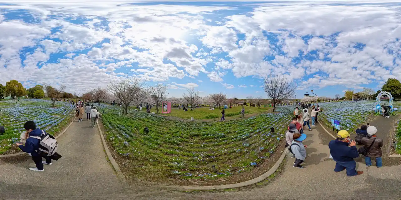 VID_20250405_112457_00_028_2025-04-05_16-09-49_スクリーンショット-1