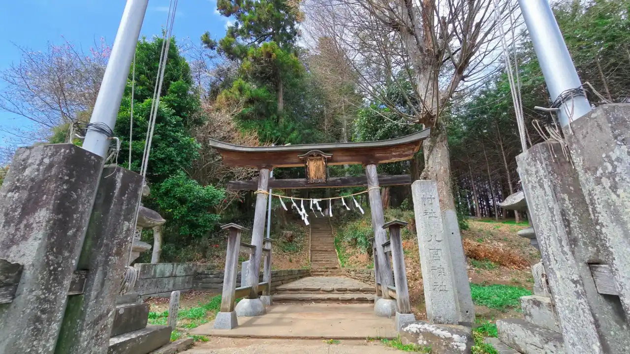 20250406_120551 (已编辑) 1.webp