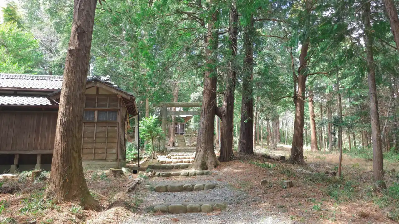 20250406_120721 (已编辑) 1.webp