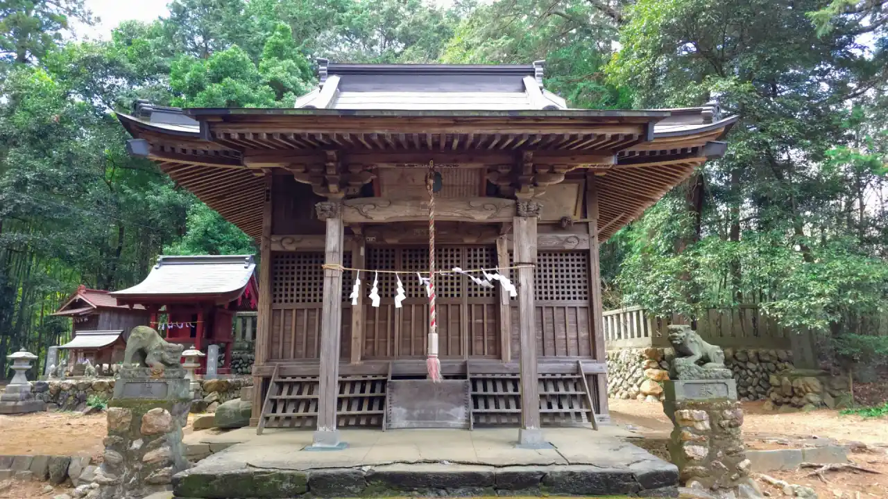 20250406_121024 (已编辑) 1.webp