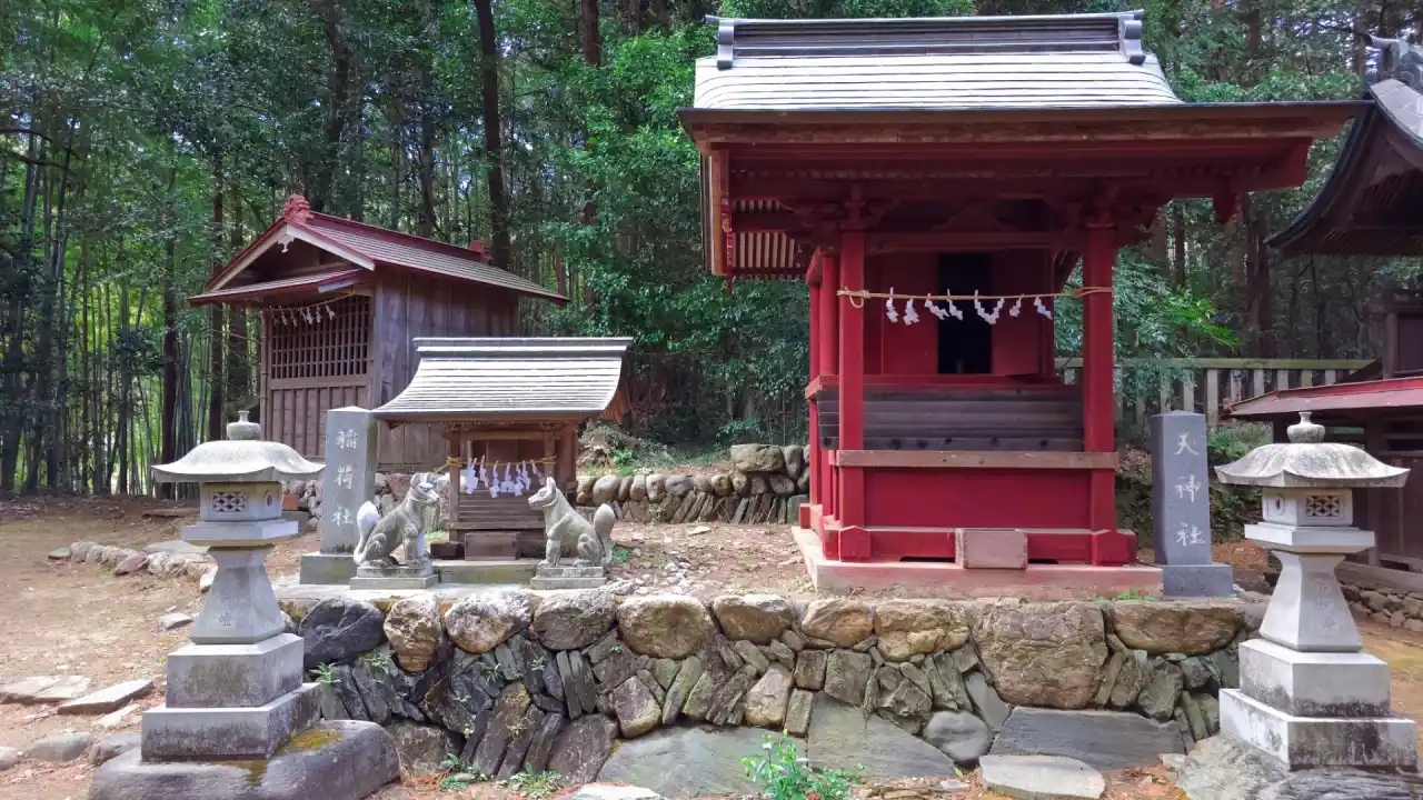 20250406_121109 (已编辑) 1.webp