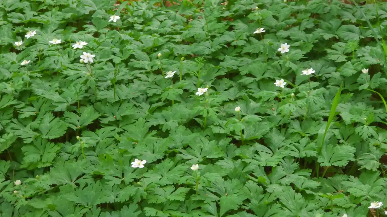 20250406_122127 (已编辑) 1.webp