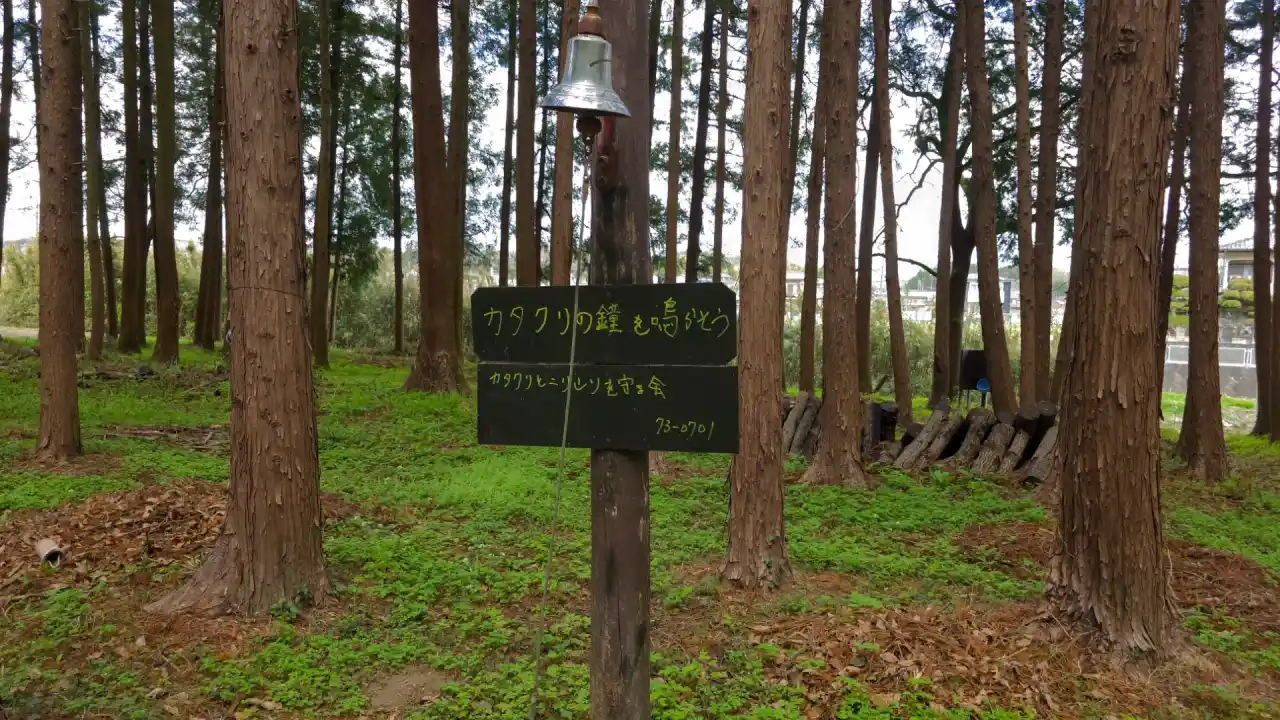 20250406_122245 (已编辑) 1.webp