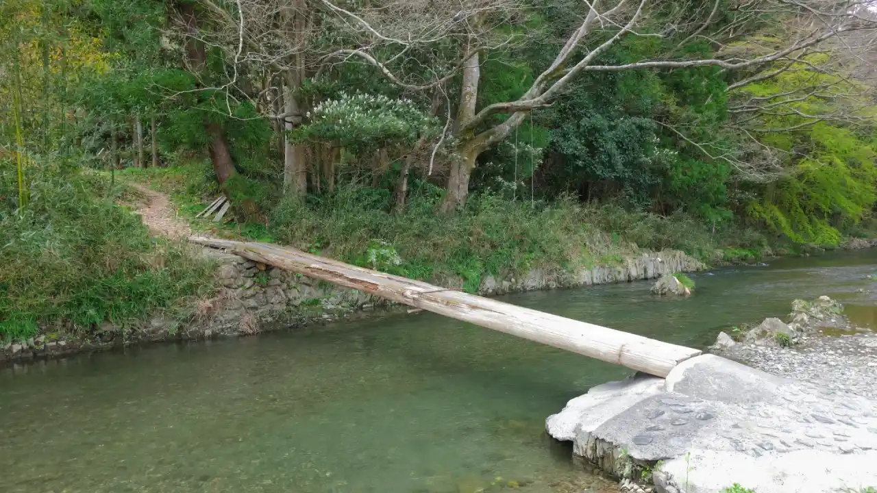 20250406_123439 (已编辑) 1.webp