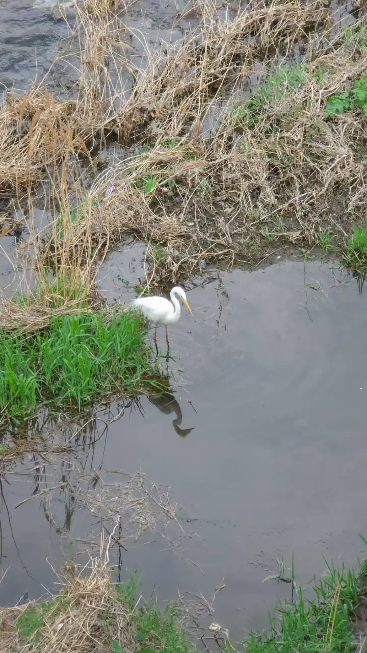 20250406_132309 (已编辑) 1.webp