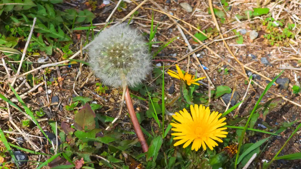 20250406_132731 (已编辑) 1.webp