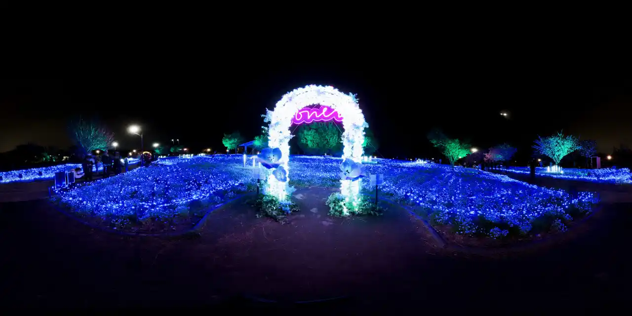 IMG_20250412_200805_00_057-2-1