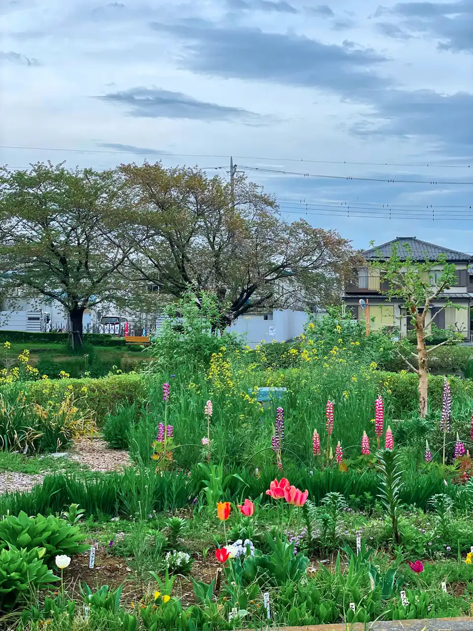 微信图片_20250422213630-1