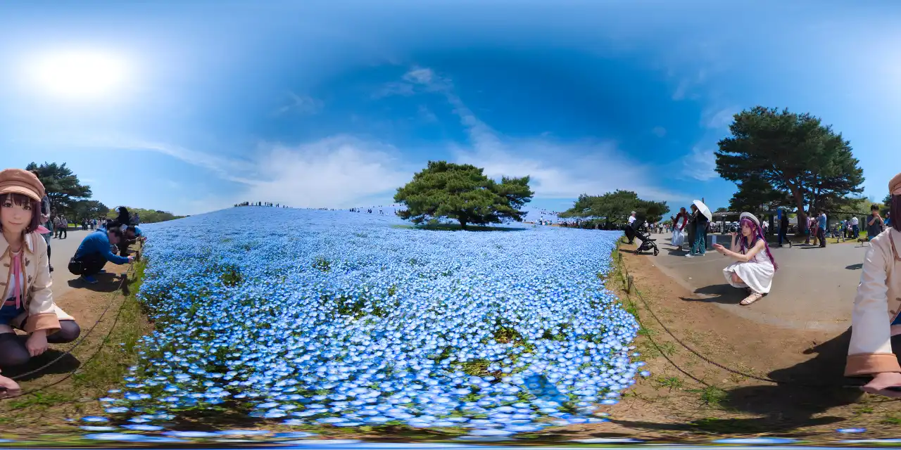 IMG_20260419_123855_00_348.webp