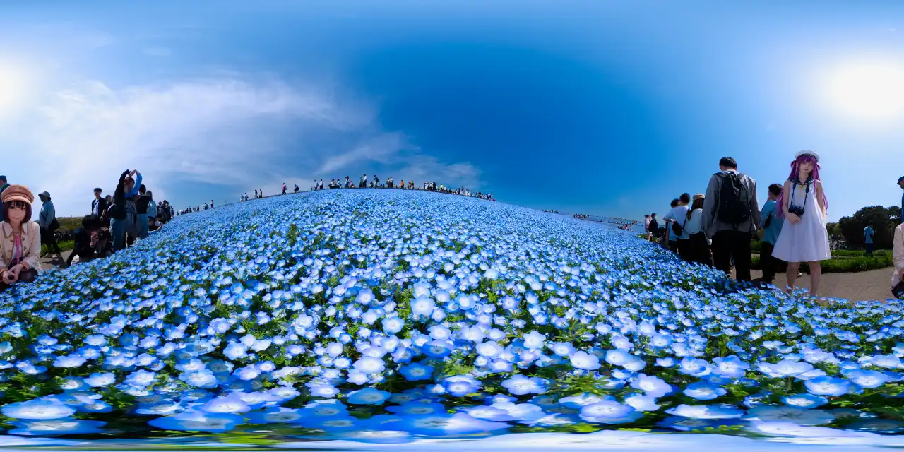 IMG_20260419_132801_00_354.webp