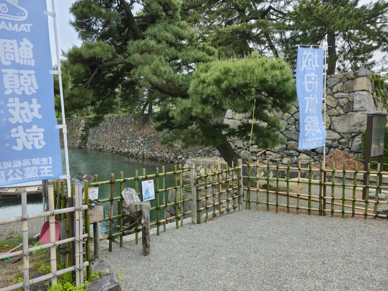 20260504_160634.jpg
