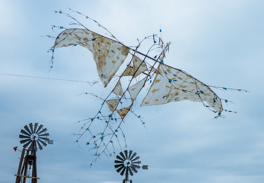 L'oiseau bleu